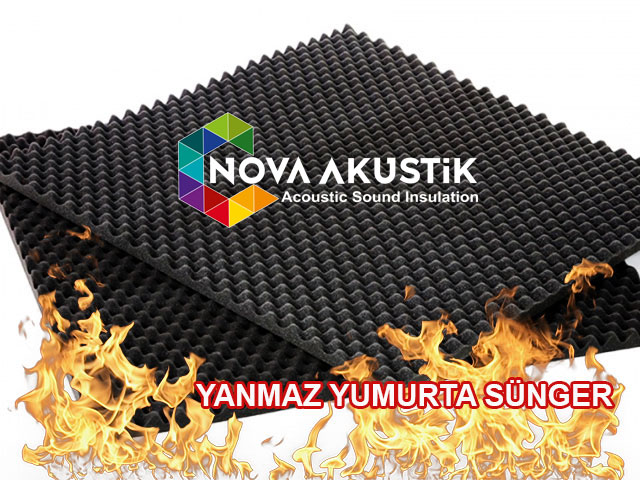 yanmaz yumurta sunger 01